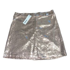 BB Dakota Silver Sequin Skirt